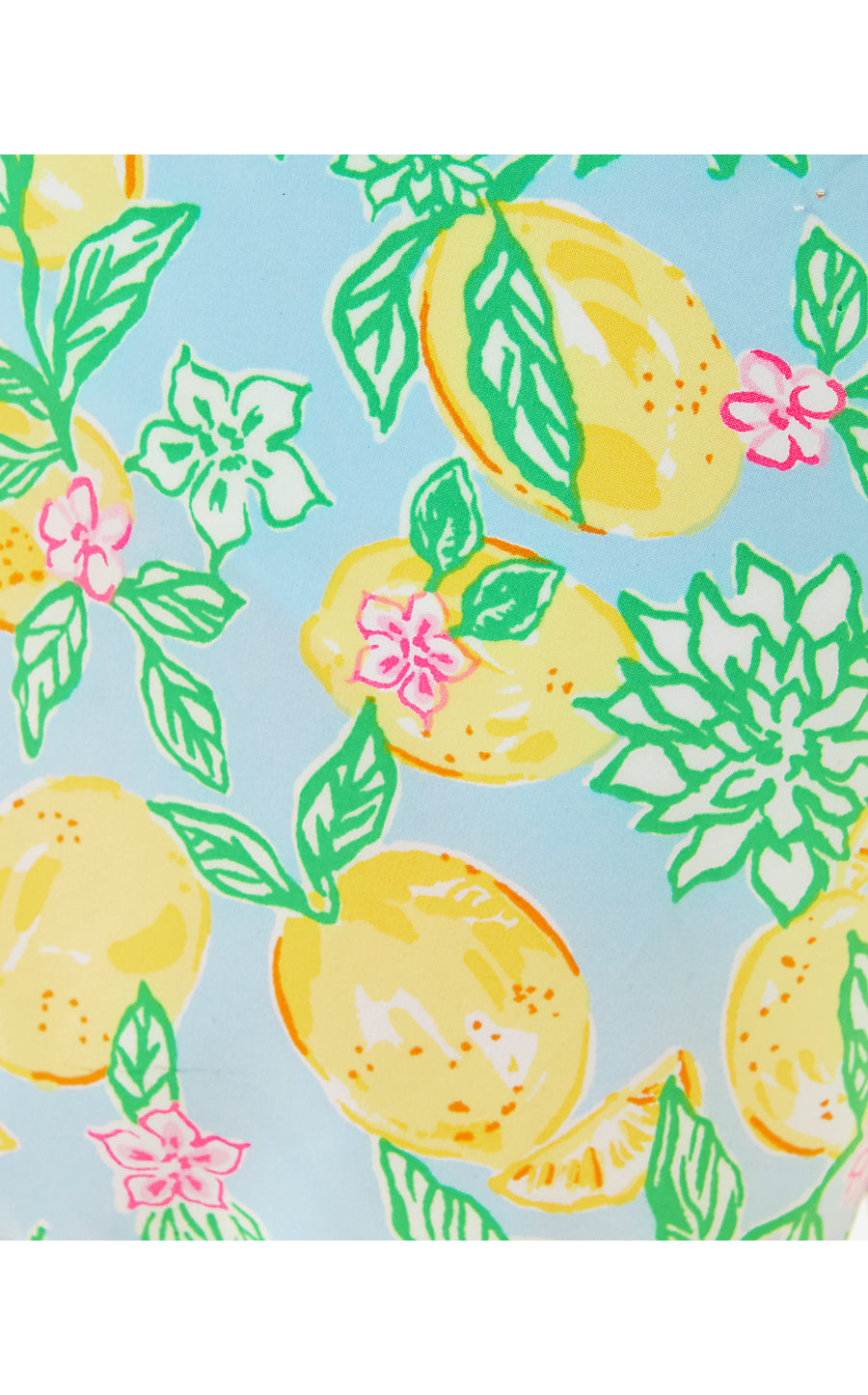 BICCI SHORT, BLUETTE MAKE LEMONADE