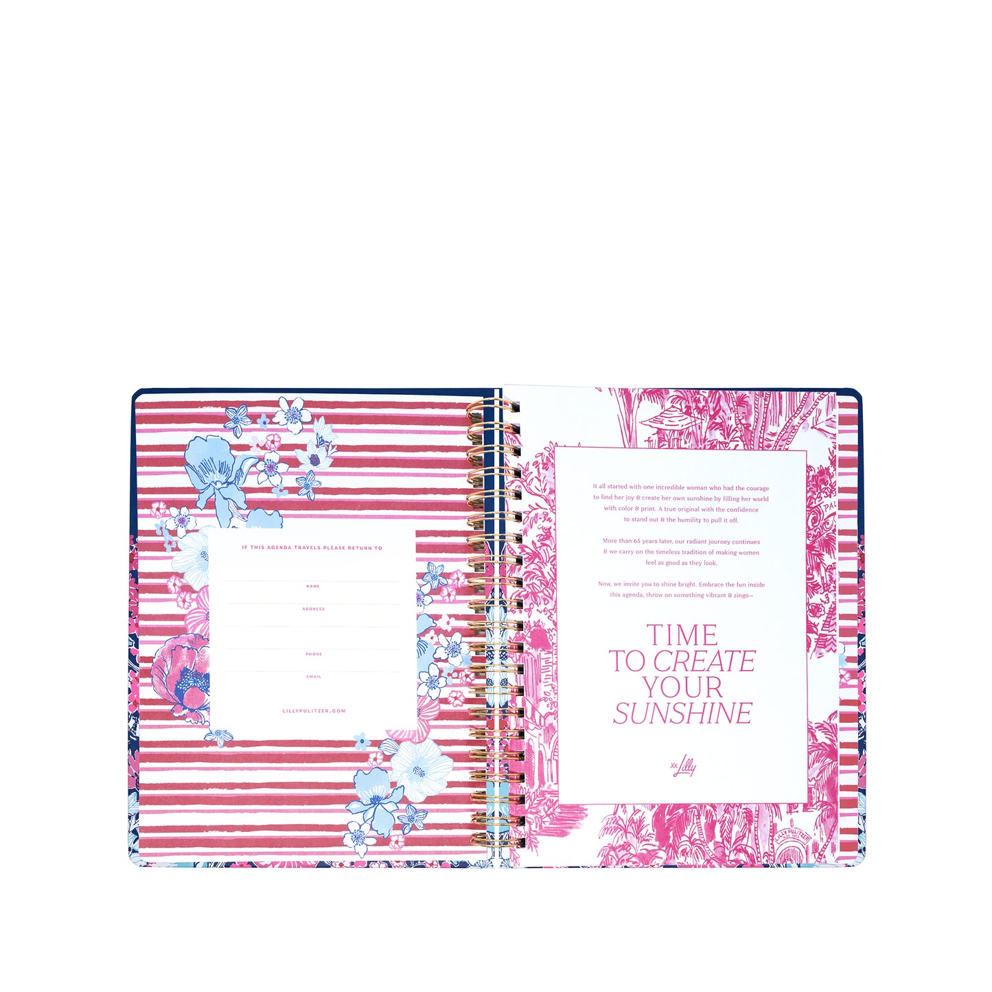 Jumbo 17 Month Agenda 2026-2027, In All Her Glory