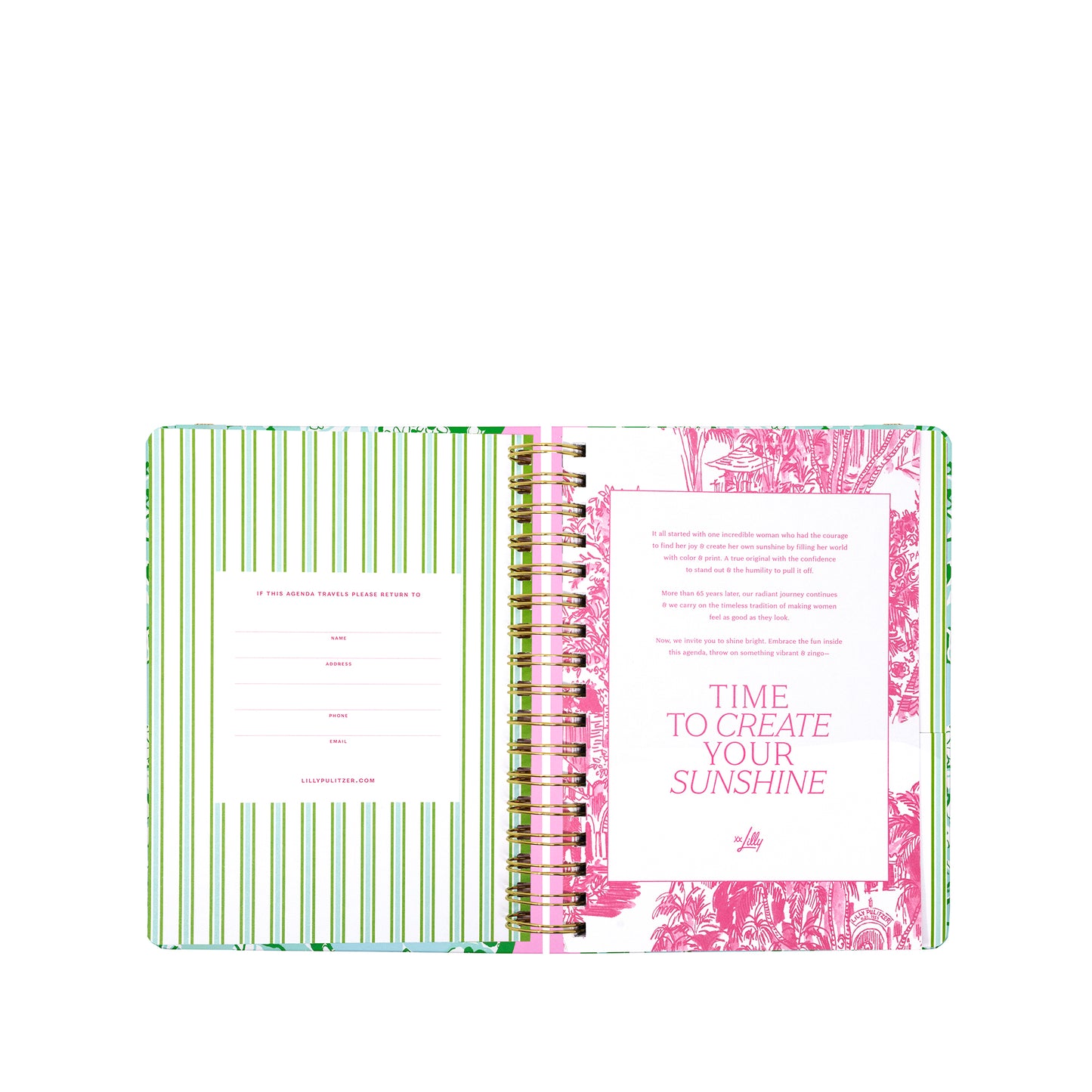 Large 17 Month Agenda 2026-2027, Mint Condition Burst of Joy