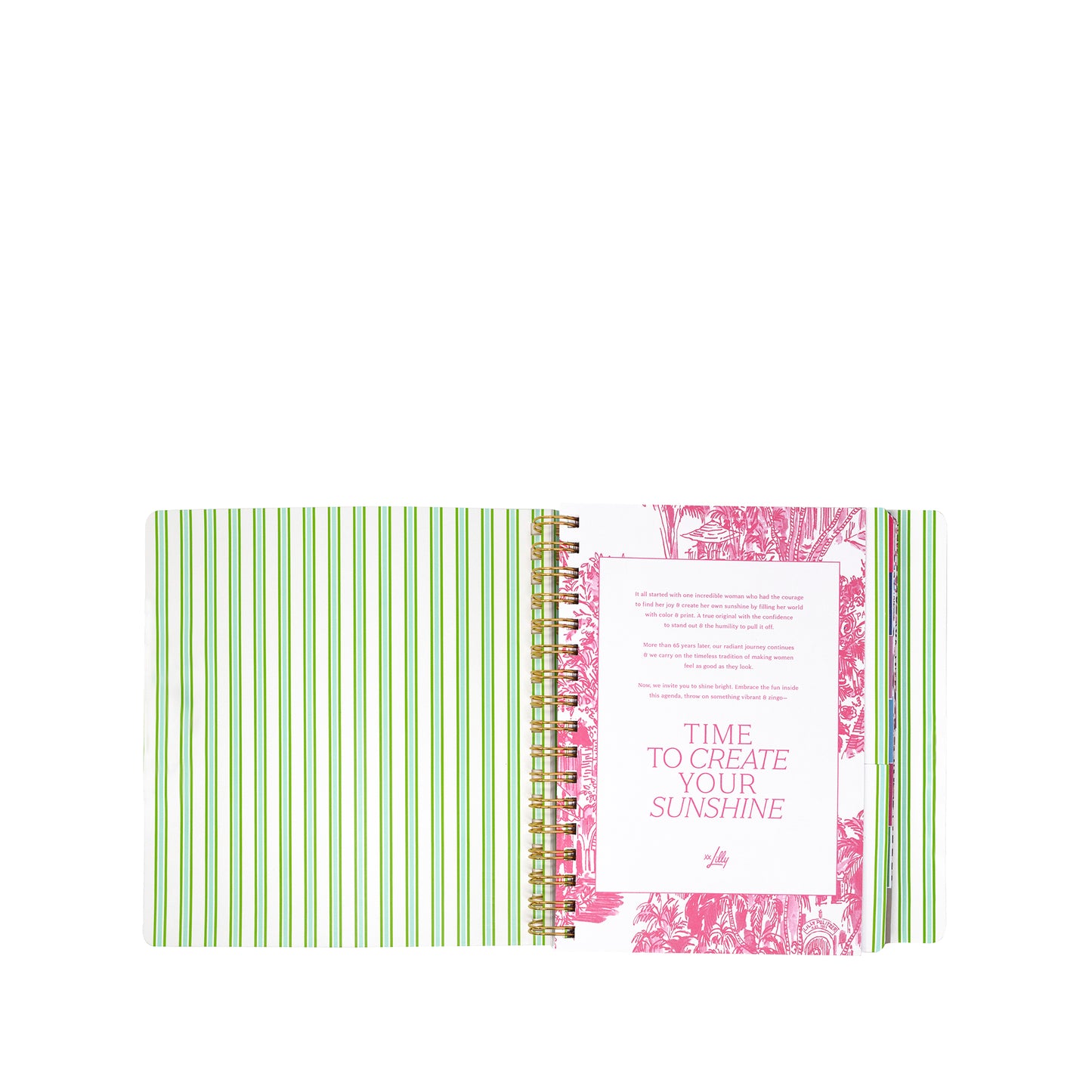 17 Month Soft Cover Planner 2026-2027, Mint Condition Burst of Joy