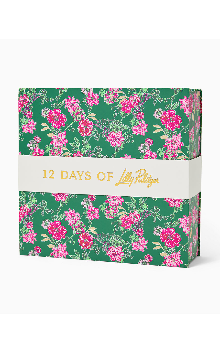 GWP HOLIDAY COUNTDOWN BOX, MULTI SAFARI SANCTUARY ACCESSORIES