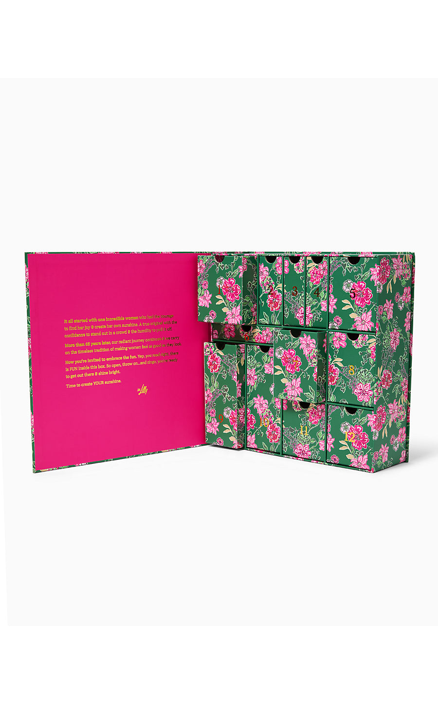 GWP HOLIDAY COUNTDOWN BOX, MULTI SAFARI SANCTUARY ACCESSORIES