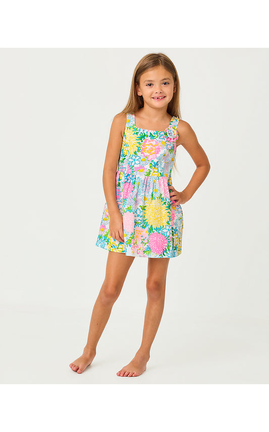 BELLEFLEUR DRESS, MULTI LILLY GARDEN