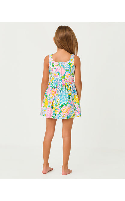 BELLEFLEUR DRESS, MULTI LILLY GARDEN