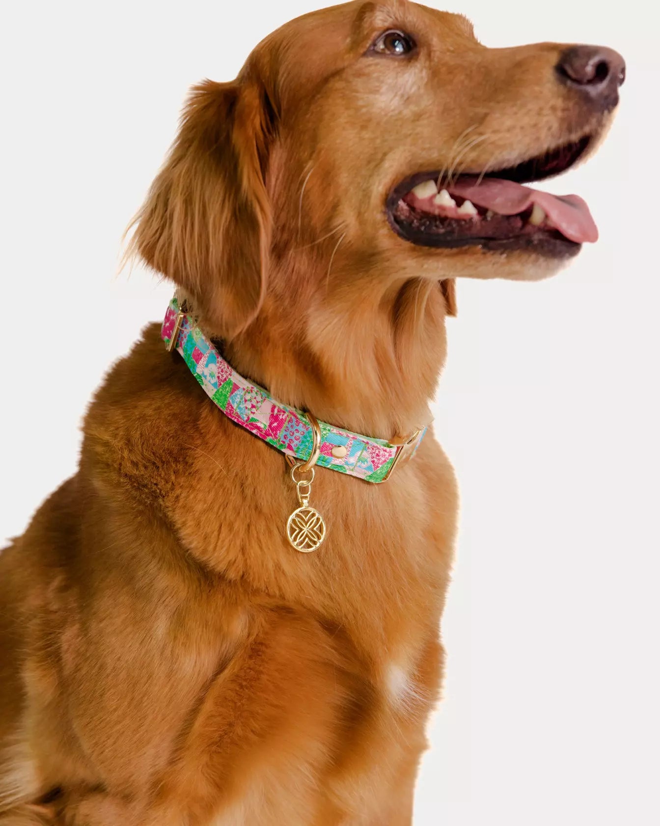 Dog Collar, Crazy Quilt Home (M/L)
