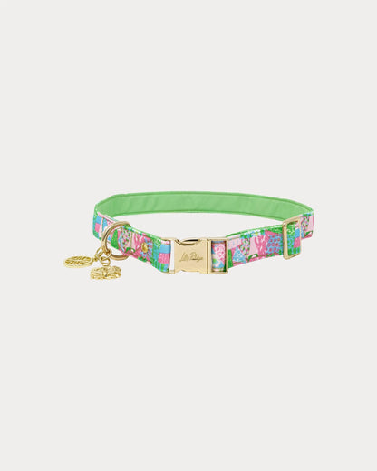 Dog Collar, Crazy Quilt Home (M/L)