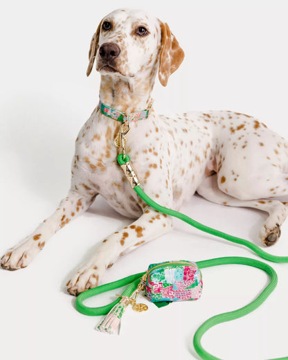 Pet Leash, Crazy Quilt Home