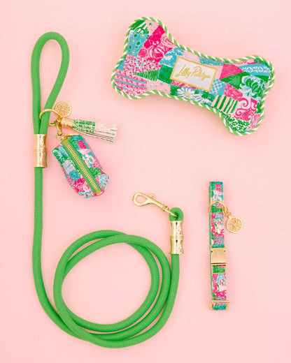 Pet Leash, Crazy Quilt Home