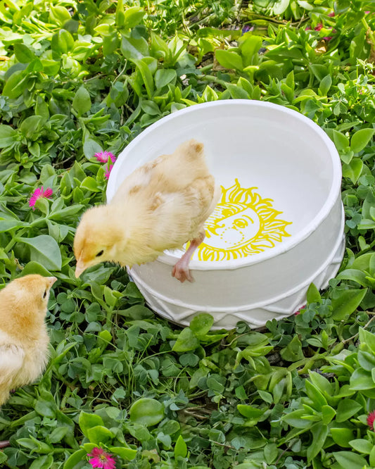 Pet Bowl, Sun Tiles Home