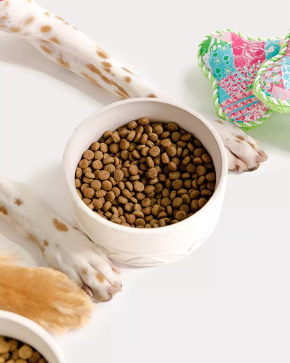 Pet Bowl, Sun Tiles Home