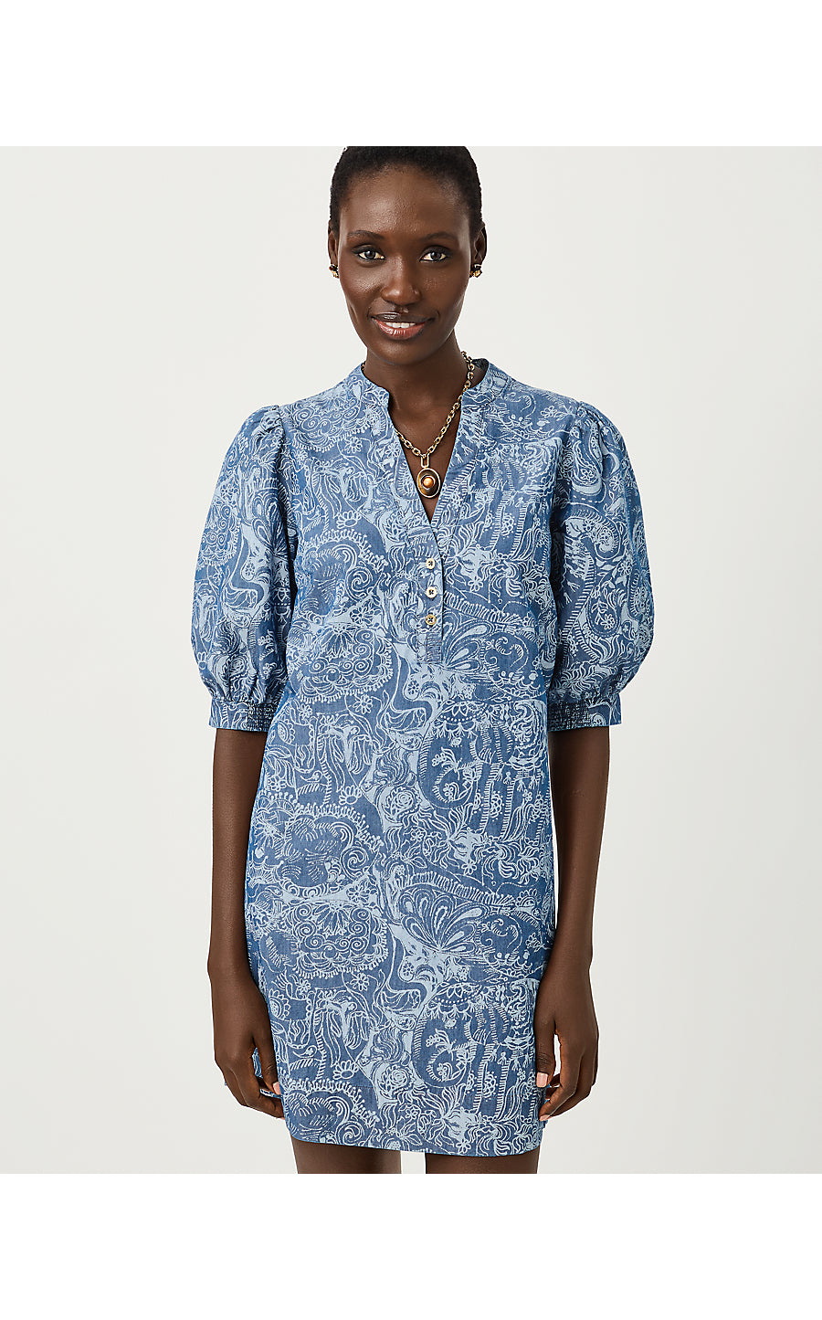 MIALEIGH ELBOW SLEEVE DRESS, INDIGO ALL DAY CHAMBRAY PAISLEY PARADE PIGMENT