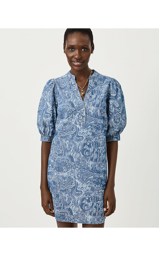 MIALEIGH ELBOW SLEEVE DRESS, INDIGO ALL DAY CHAMBRAY PAISLEY PARADE PIGMENT