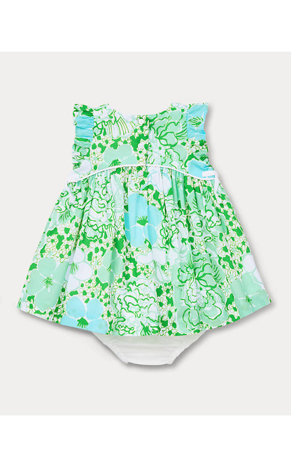 GEORGINA BABY DRESS, MINT CONDITION BURST OF JOY