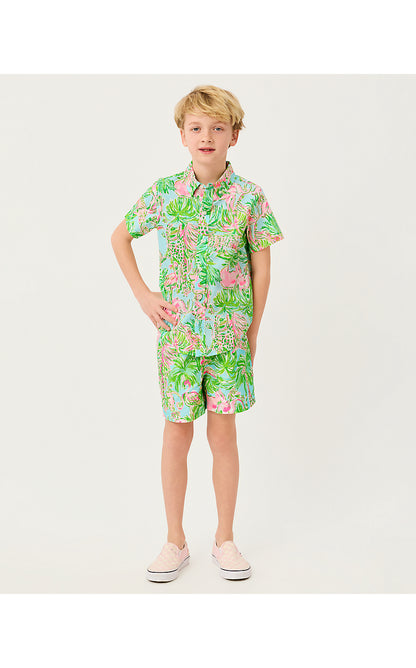 LAVIN BUTTON DOWN, MULTI ON PARADE