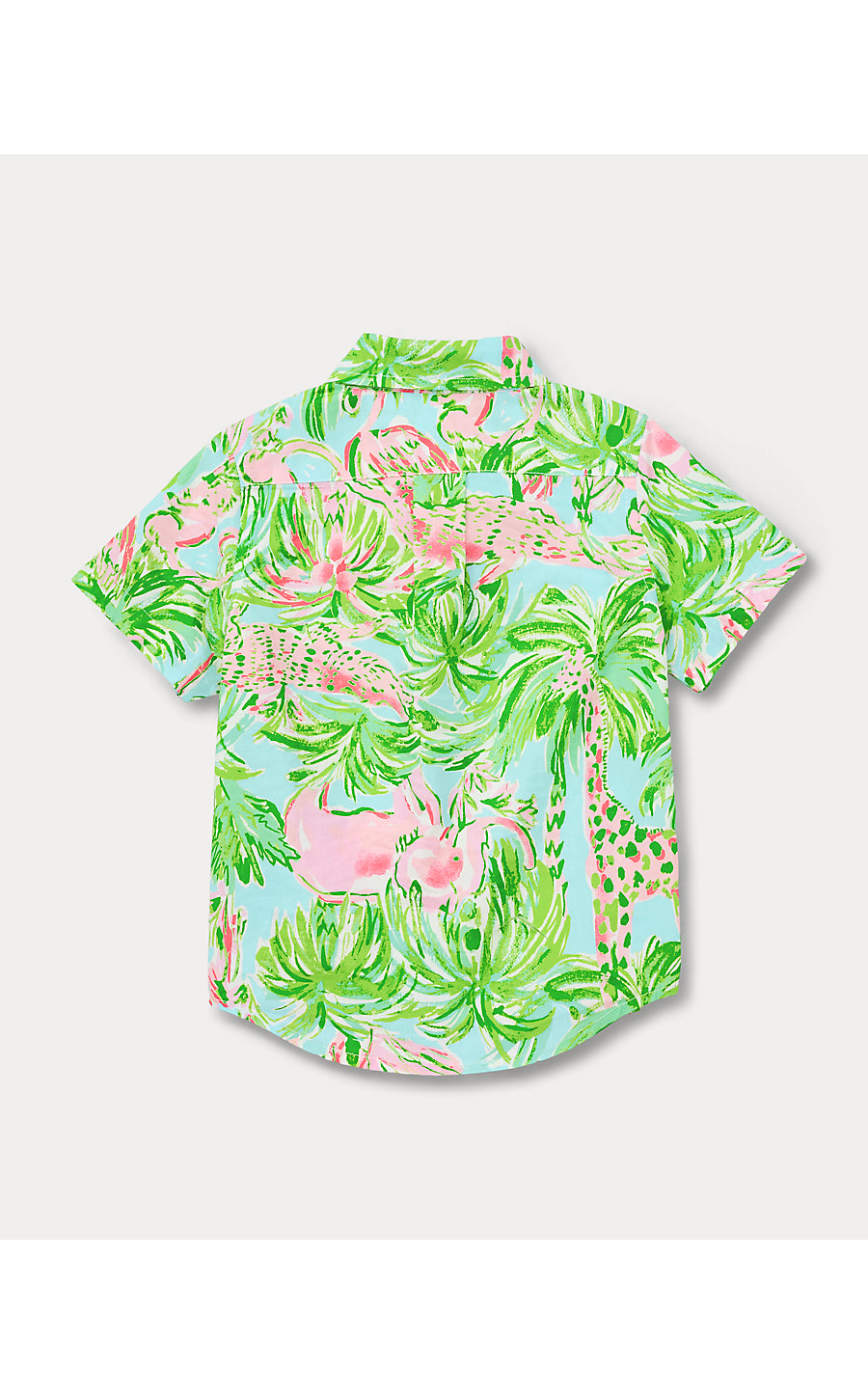 LAVIN BUTTON DOWN, MULTI ON PARADE