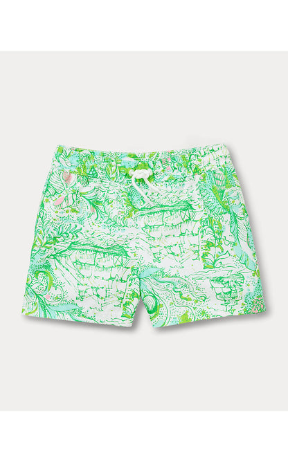 LIAM CARTER SWIM TRUNK, RESORT WHITE SHIP TO SHORE