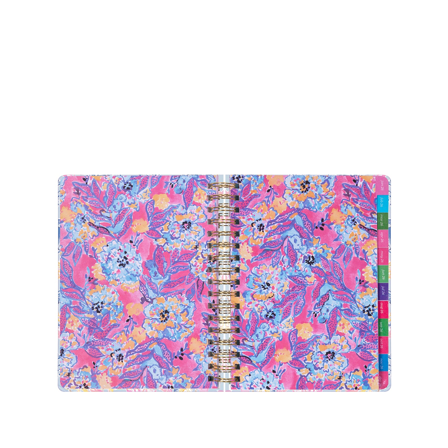 Jumbo 17 Month Agenda, Bluette Lil Barefoot Beachcomber