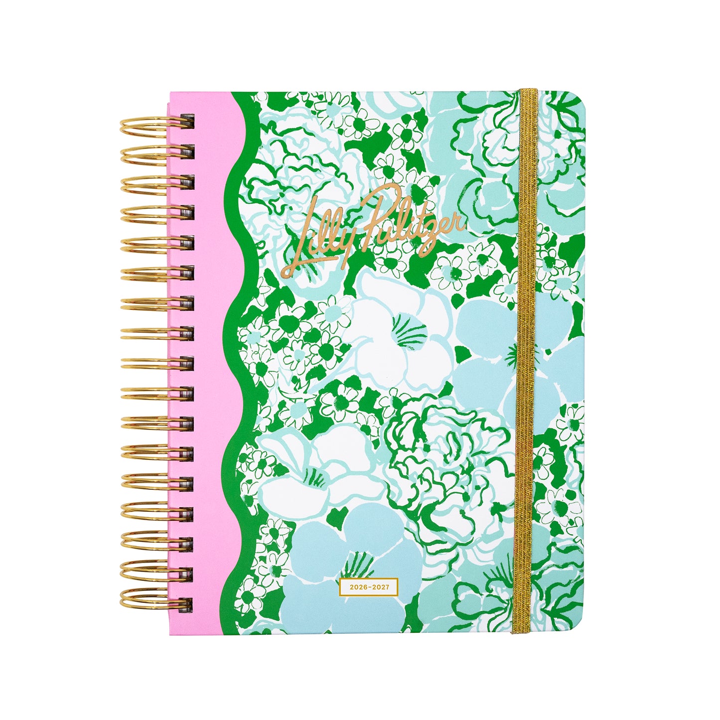 Large 17 Month Agenda 2026-2027, Mint Condition Burst of Joy
