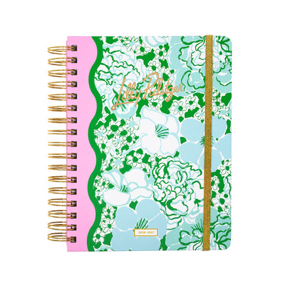 Large 17 Month Agenda 2026-2027, Mint Condition Burst of Joy