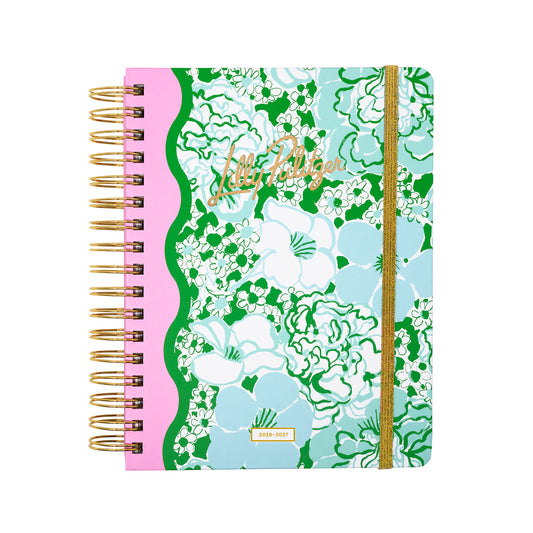 Large 17 Month Agenda 2026-2027, Mint Condition Burst of Joy