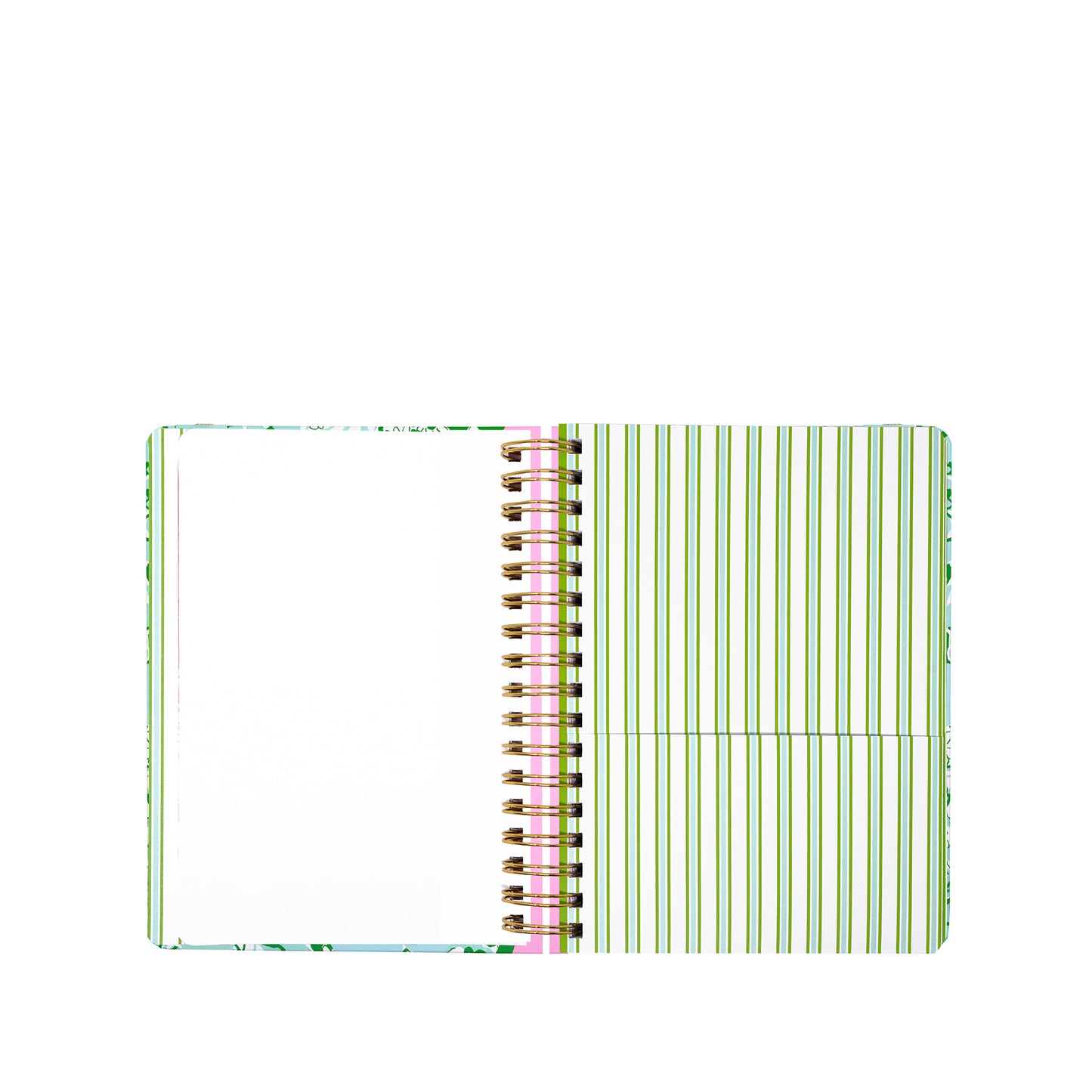 Large 17 Month Agenda 2026-2027, Mint Condition Burst of Joy
