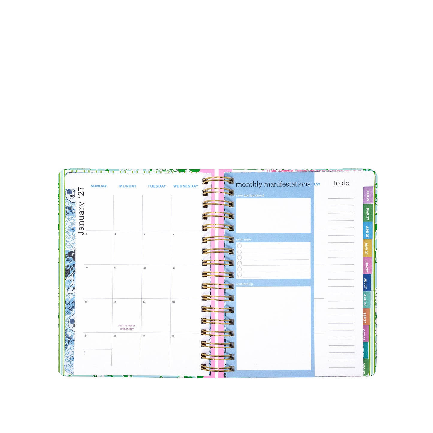Large 17 Month Agenda 2026-2027, Mint Condition Burst of Joy