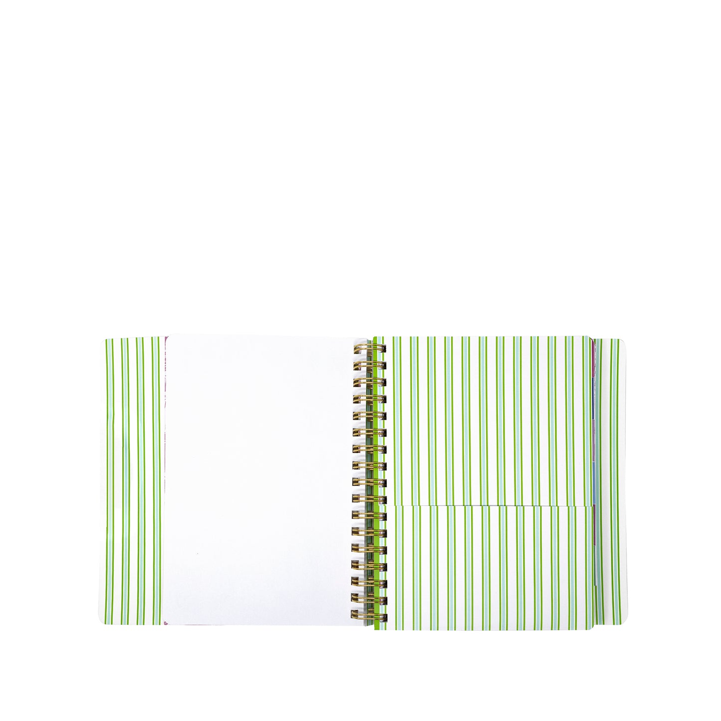 17 Month Soft Cover Planner 2026-2027, Mint Condition Burst of Joy