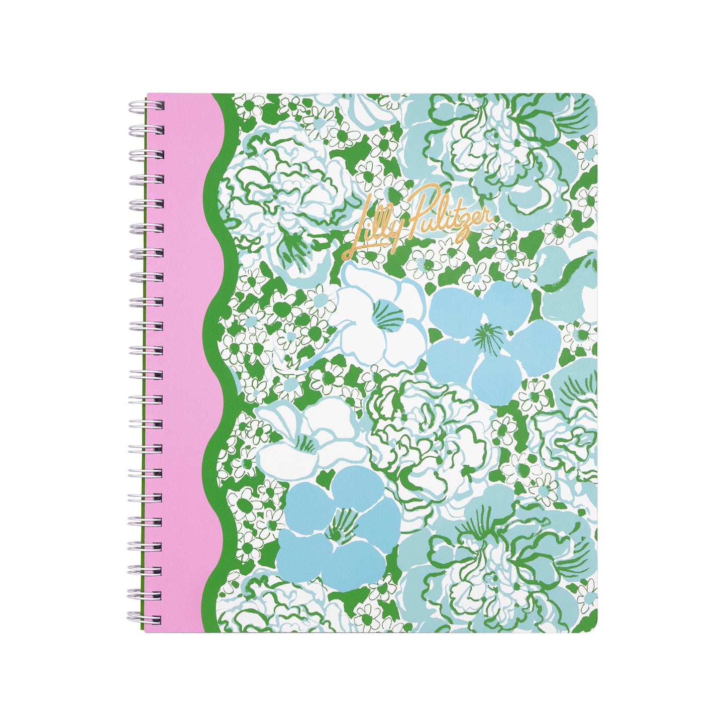 Large Notebook, Mint Condition Burst of Joy