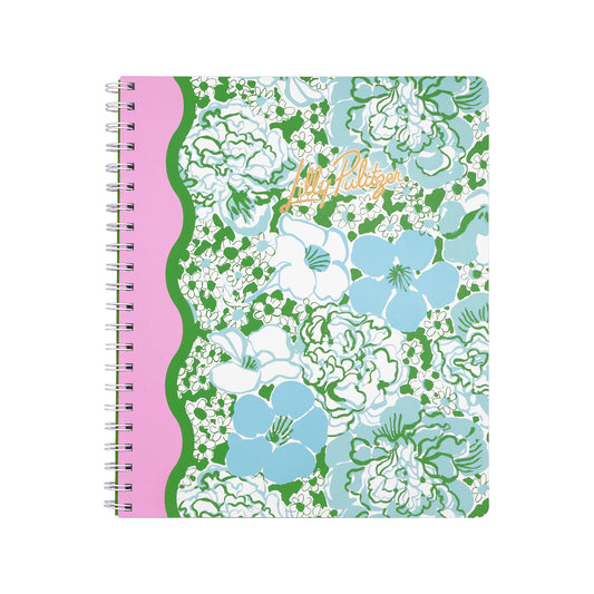 Large Notebook, Mint Condition Burst of Joy