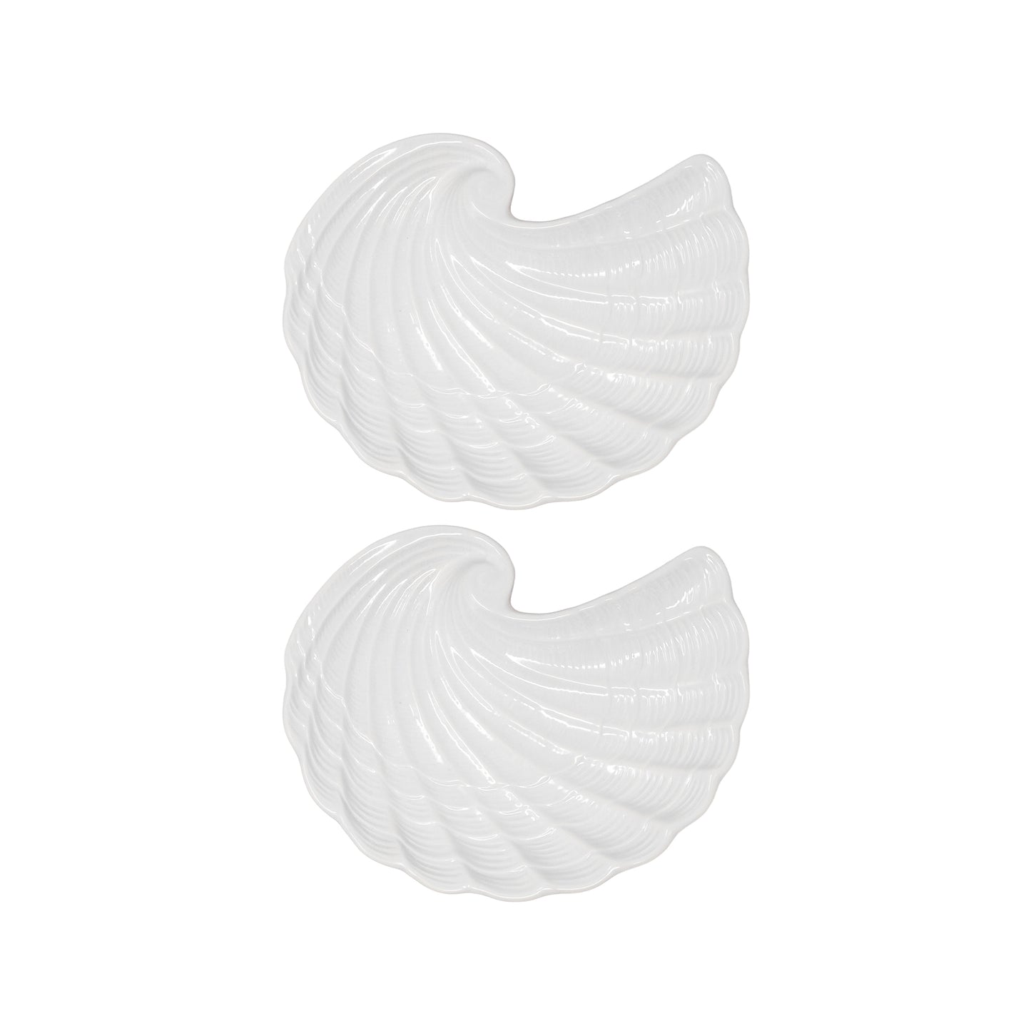 Shell Plate Set, Nautilus