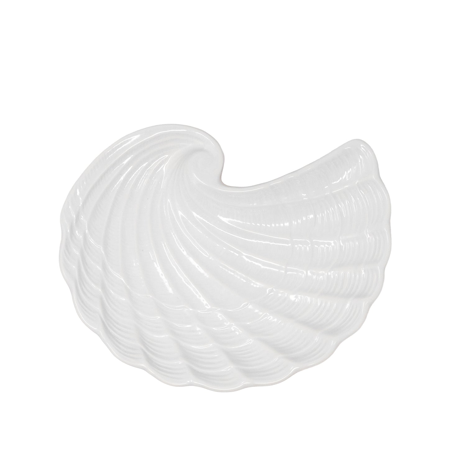 Shell Plate Set, Nautilus