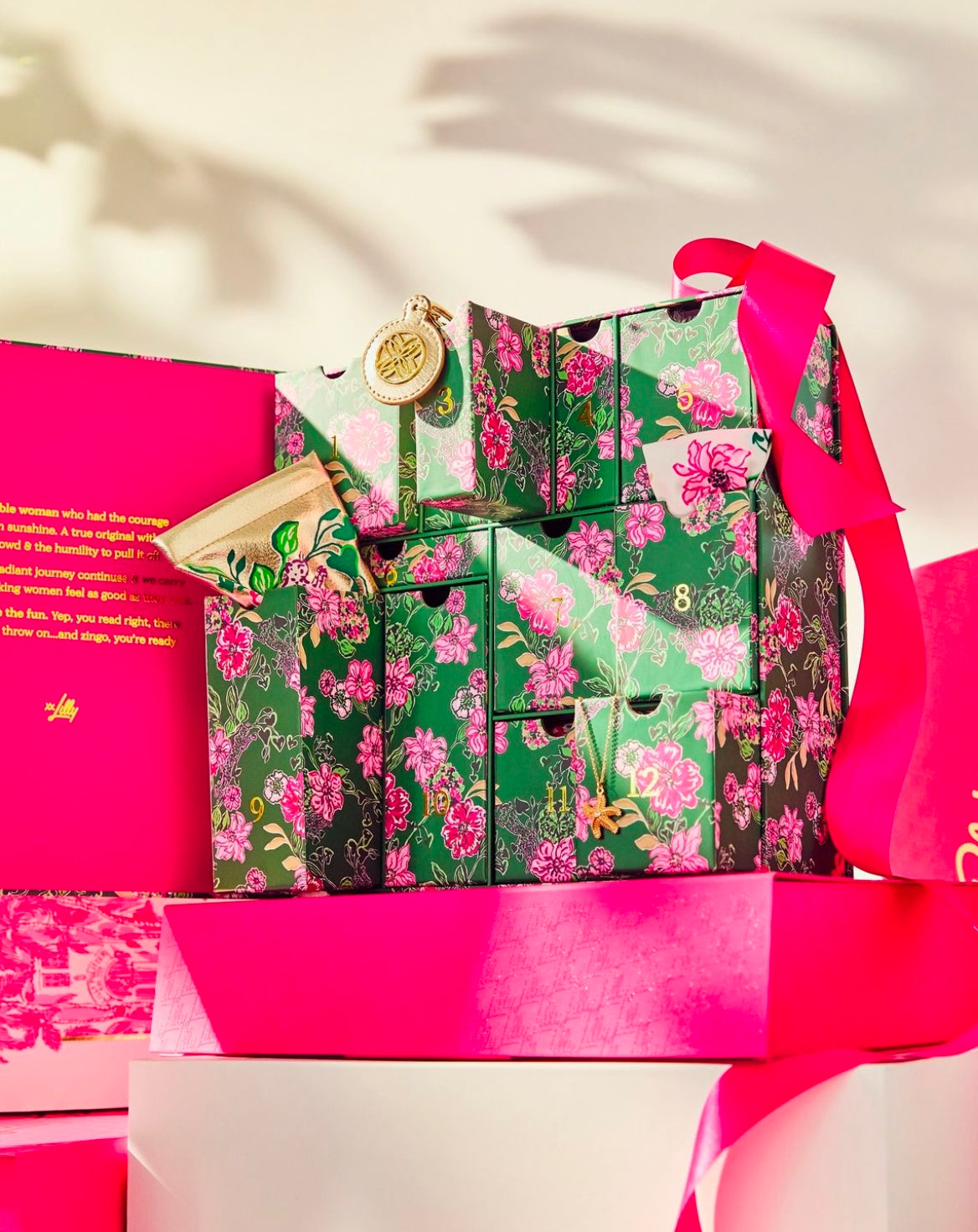 GWP HOLIDAY COUNTDOWN BOX, MULTI SAFARI SANCTUARY ACCESSORIES